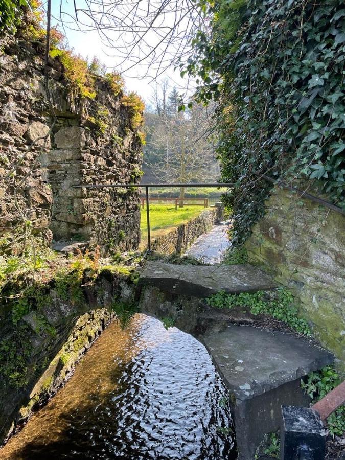 Woodstock Courtyard Apartment Inistioge Exterior foto